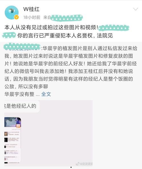 乐圈吃瓜栏目,揭秘娱乐圈背后的那些“吃瓜”故事