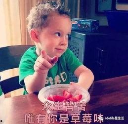 萌娃男孩吃瓜头像,可爱瞬间萌翻网友
