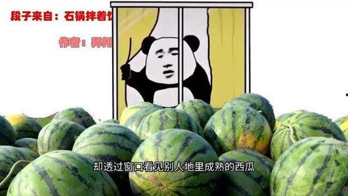 表哥吃瓜,揭秘娱乐圈背后的那些事儿