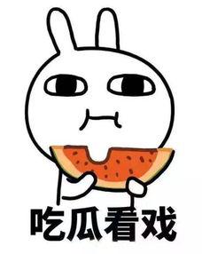 吃瓜世界首富,吃瓜世界首富的传奇人生与商业帝国