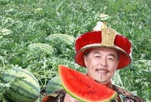 皇帝吃瓜要杀瓜农