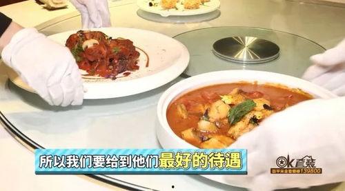 吃瓜宝典谢灵,揭秘吃瓜宝典背后的神秘力量