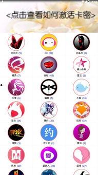 吃瓜vip密码,解锁娱乐资讯的神秘之门