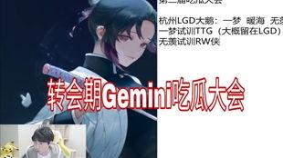 gemini吃瓜小伙,揭秘娱乐圈幕后故事