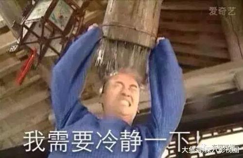 天天吃瓜吃撑了都,天天吃瓜，尽享人生百态