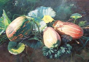 梦见进入瓜园吃瓜,瓜园寻味之旅