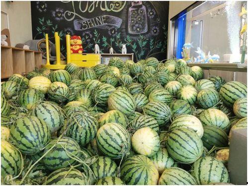 全城吃瓜活动,共赴吃瓜盛宴！