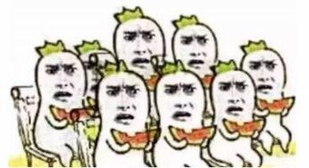 去别人家吃瓜,一场别开生面的家庭聚餐之旅