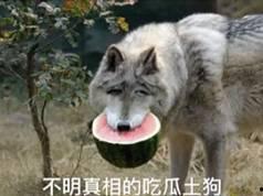 狼二叔吃瓜,揭秘娱乐圈背后的秘密与真相