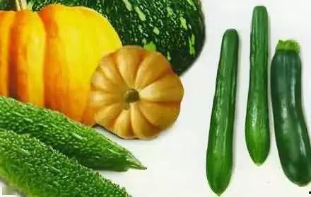 冰岛吃瓜版,揭秘北欧国家的独特社交现象