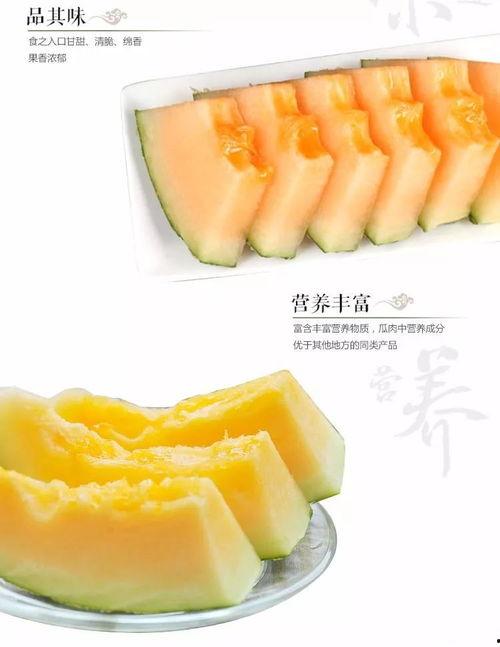 考试前吃哈密瓜,甜蜜助力，智慧飞扬