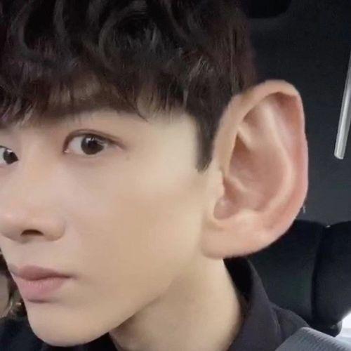 姚琛吃瓜表情,揭秘娱乐圈幕后风云