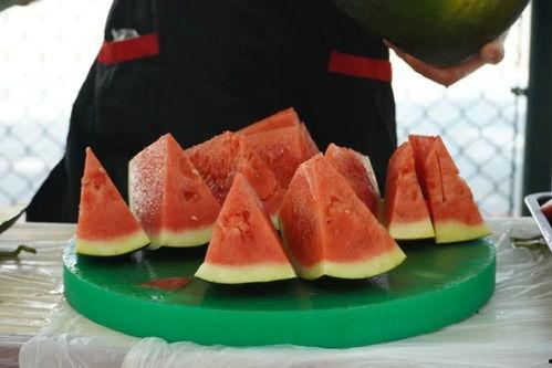 川职教室吃瓜,一场别开生面的“吃瓜”盛宴