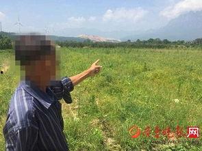 青海大爷吃瓜事件视频,一场意外引发的全民热议