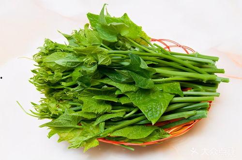 瓜花和瓜尖如何吃最好吃,解锁最佳食用秘诀