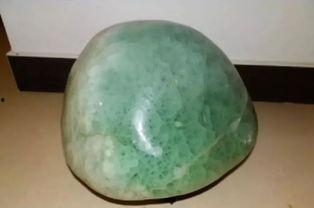 吃瓜鉴定师,揭秘校园里的“瓜田”奇闻轶事